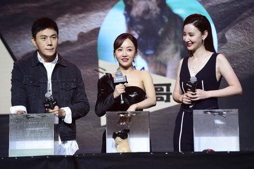 娱乐圈最新吃瓜爆料事件汇总,明星恋情、出轨、撕逼大揭秘！